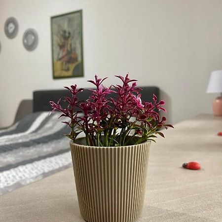 Cozy Apartment Ladybug, 塞拉耶佛 外观 照片